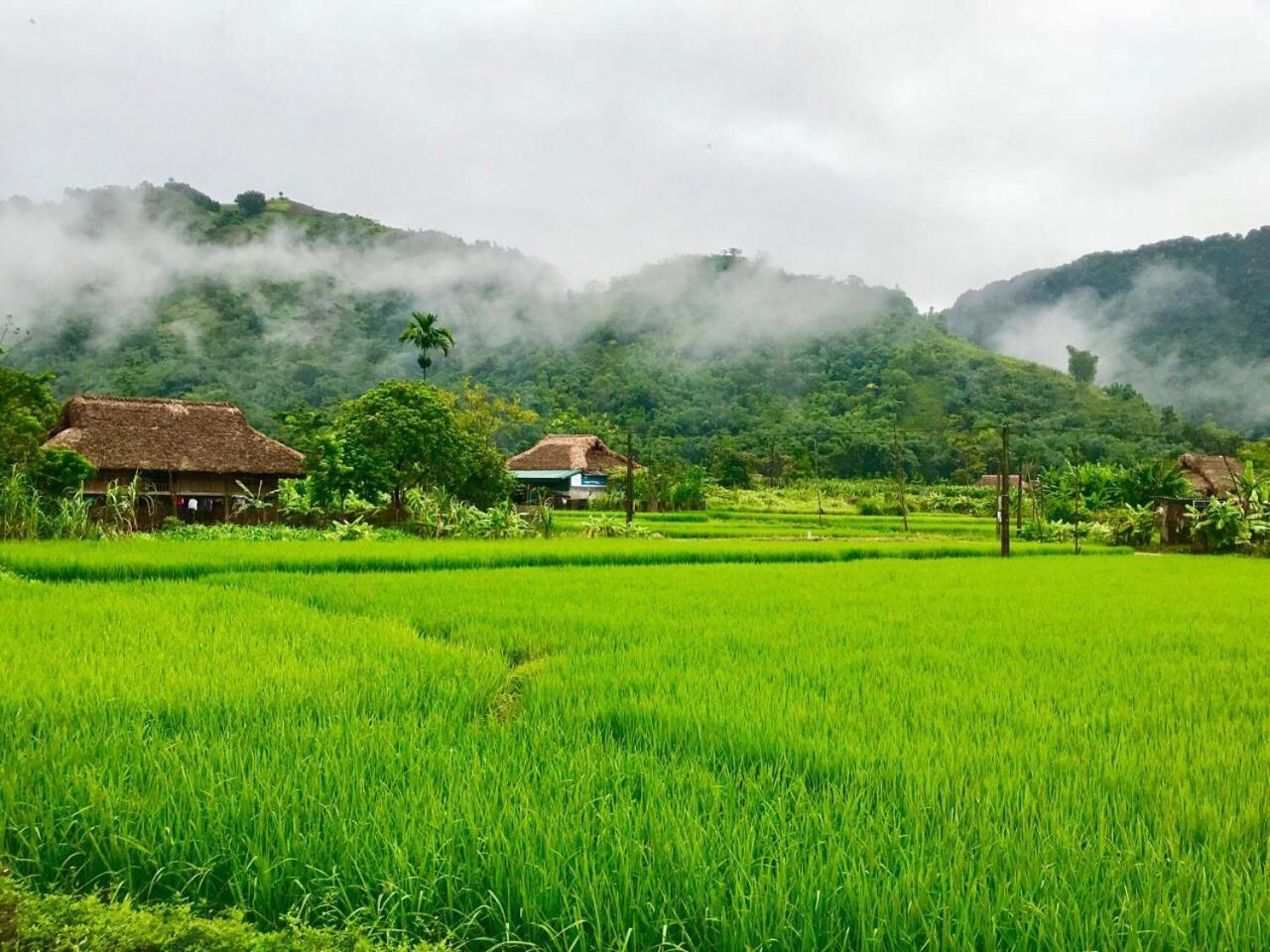 Xoi Farmstay - Eco Homestay Luc Yen Yen Bai Exterior photo