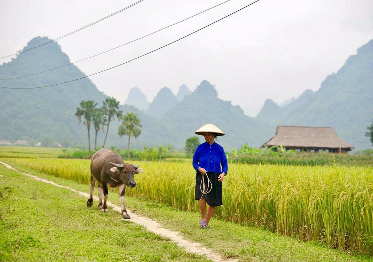 Xoi Farmstay - Eco Homestay Luc Yen Yen Bai Exterior photo